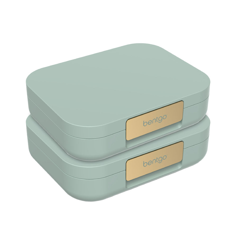 bentgo-modern-lunch-box-2-pack-x6 BGOMD2P-MG-01.jpg