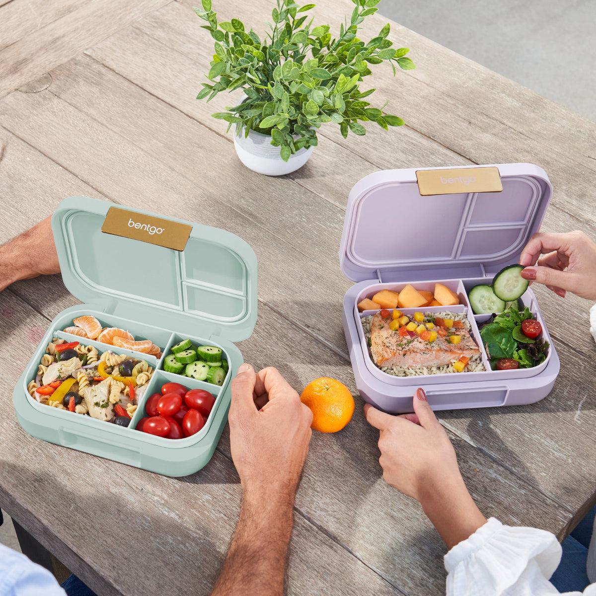 bentgo-modern-lunch-box-2-pack-k0 COSTCOBMCPRODUCTIMAGE_2.jpg